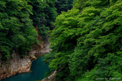 吾妻渓谷 ～夏～