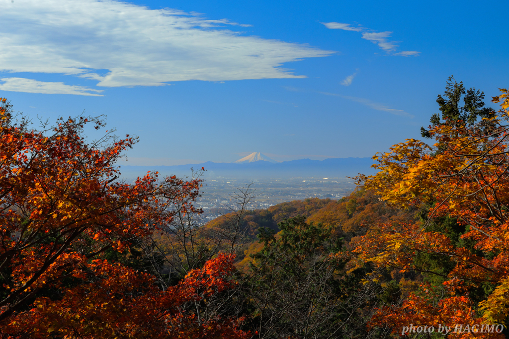 富士を望む