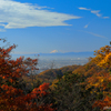 富士を望む