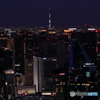 Tokyo City