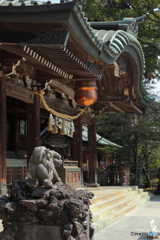 筑波山神社