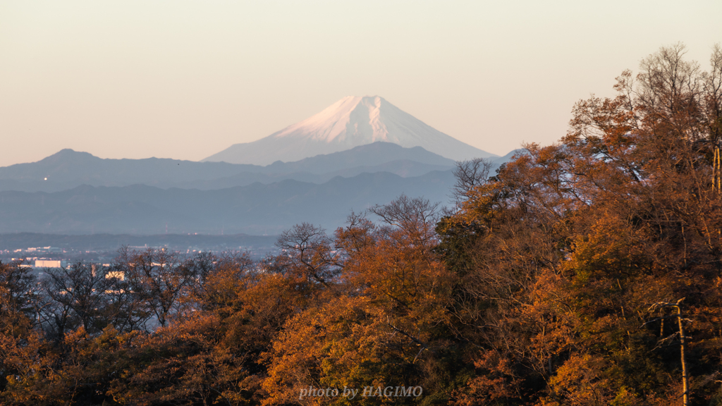 朝景富士　〜栃木県佐野より〜
