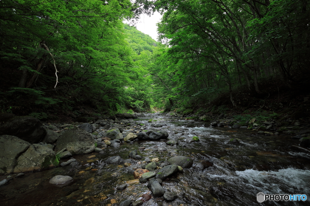 水上の渓流