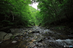 水上の渓流