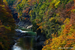 秋の桂川
