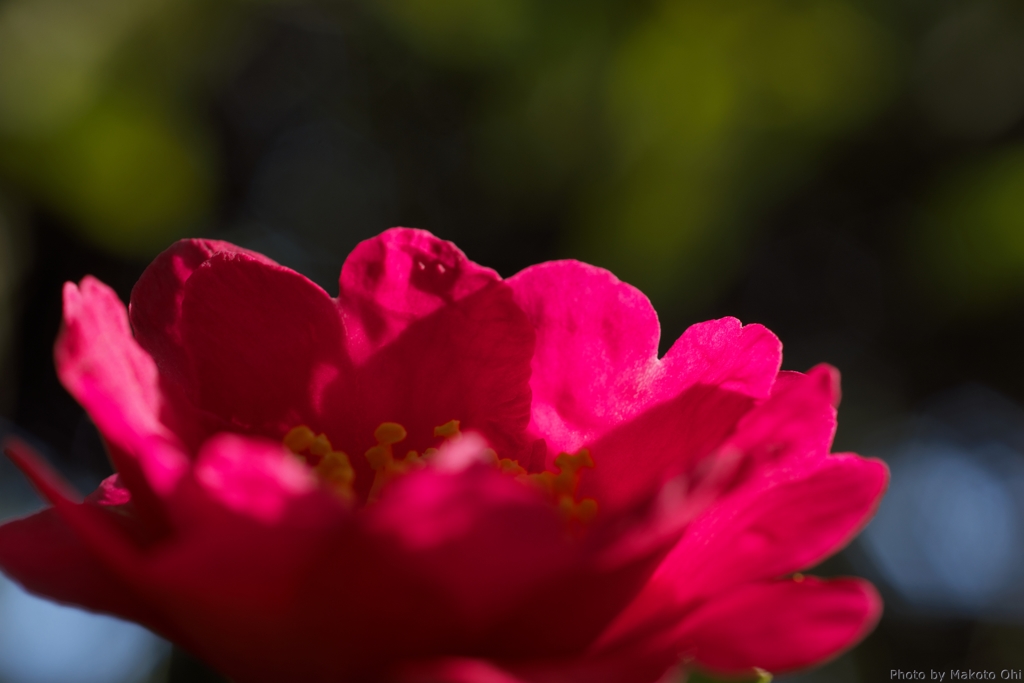 あなたがもっとも美しい