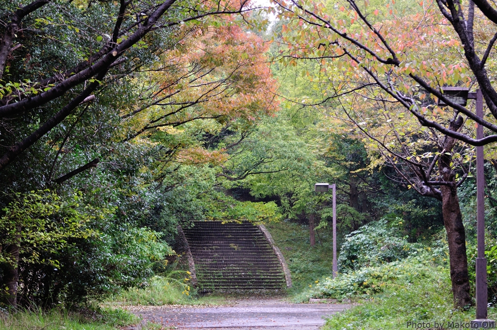 階段のある風景