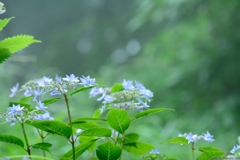 雰囲気重視
