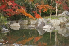 池の紅葉