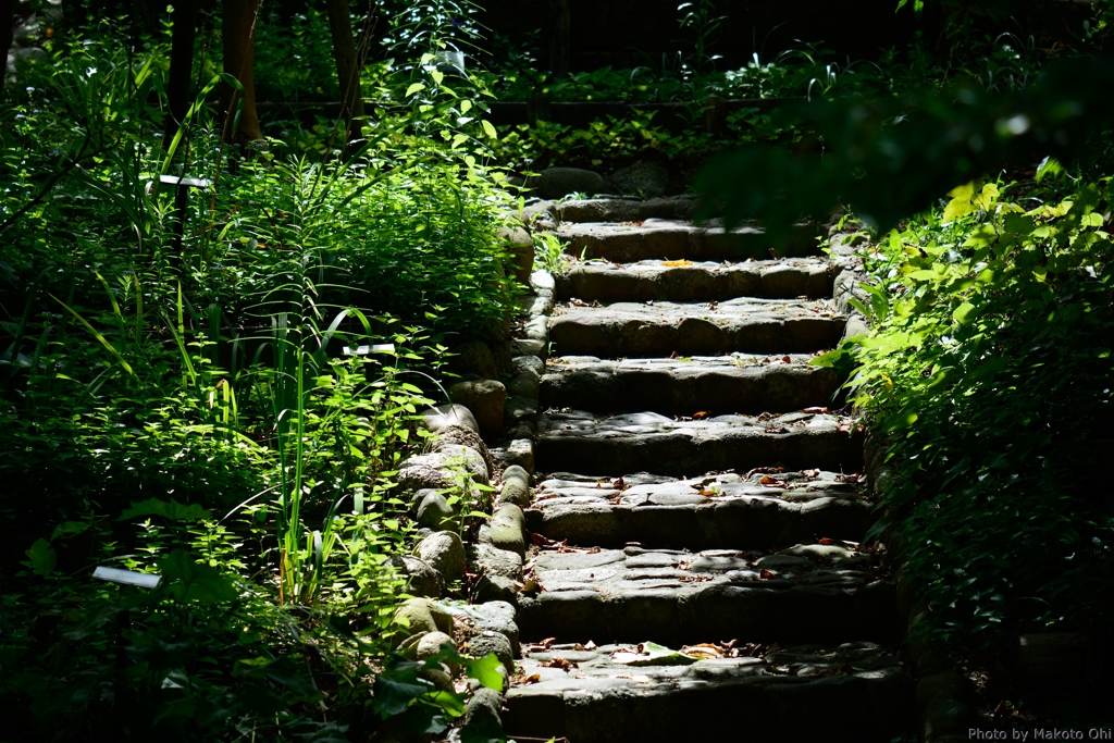 登る先
