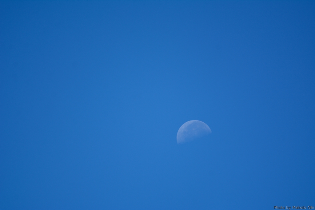 Morning Moon