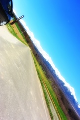 十勝岳に続く道