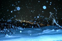 雪と夜景