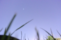 5月の星