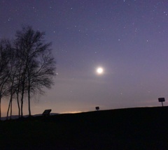美瑛の星空