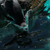 dive!!