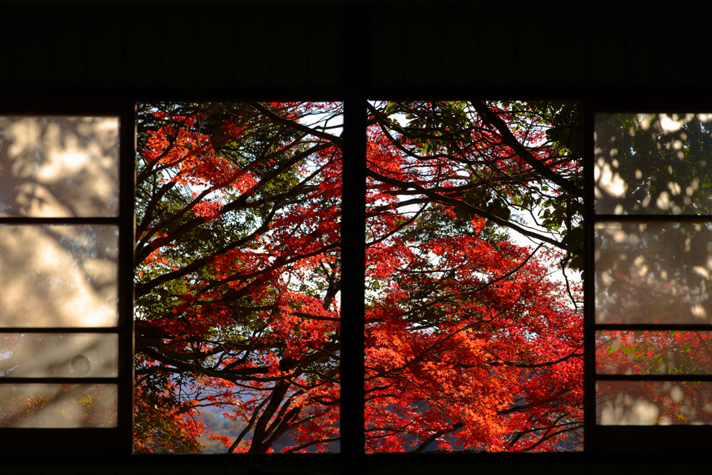 autumn frame