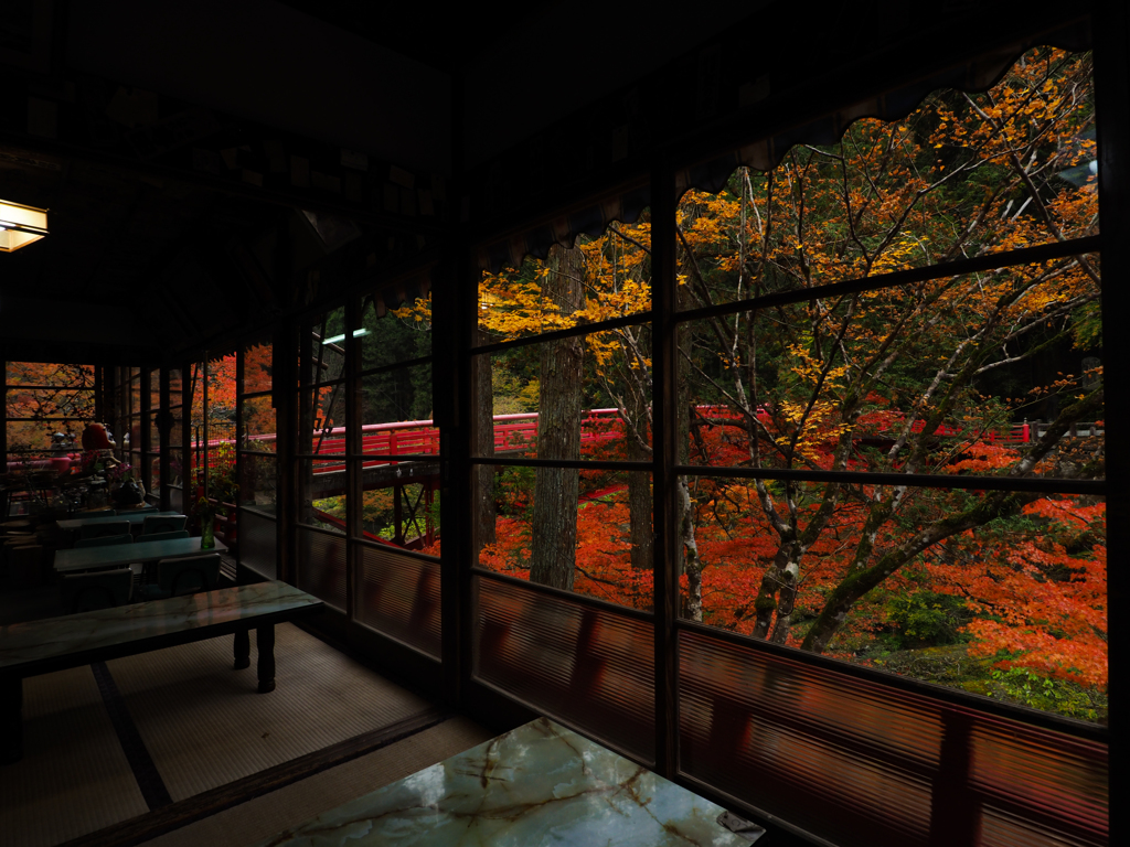 窓からの秋②