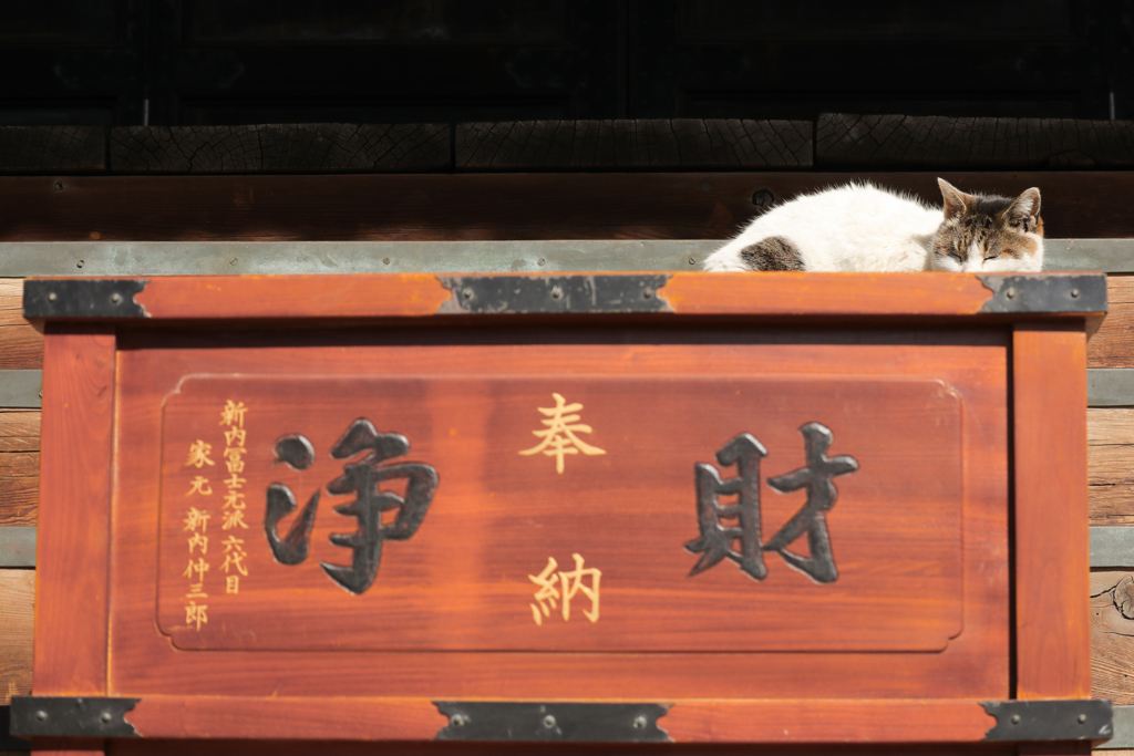 箱守