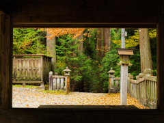 箱庭の景色