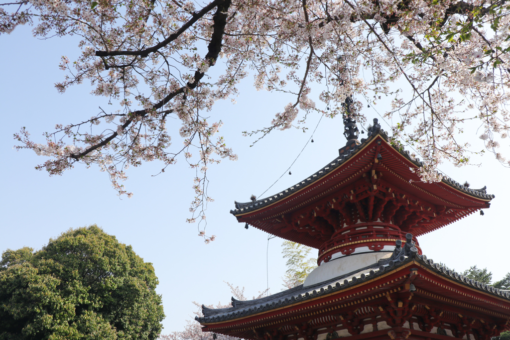 京の香り
