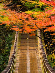 花貫より