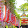 参道を飾る