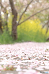 終演