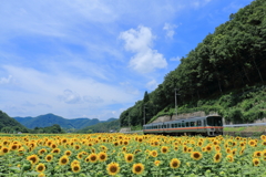 盛夏を往く姫新線