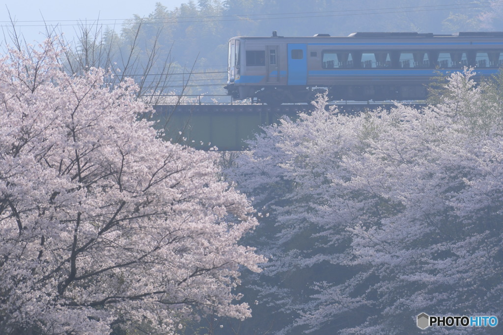 朝もやを抜けて