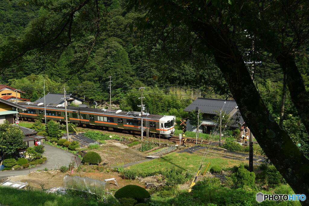 山里で