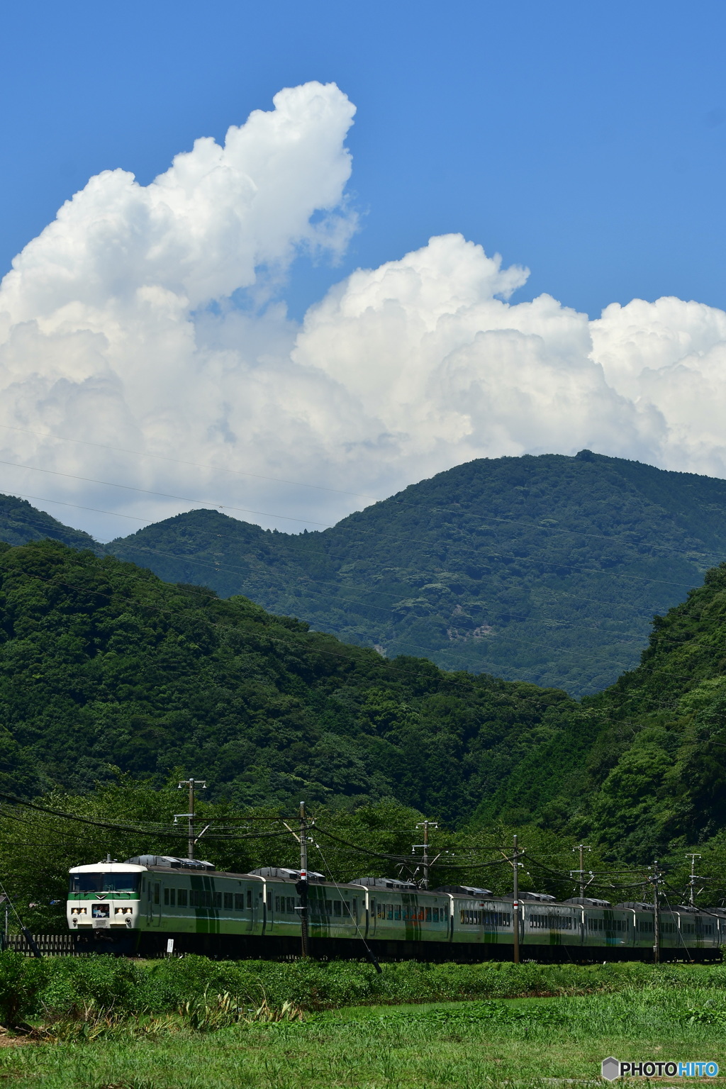夏模様