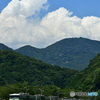 夏模様