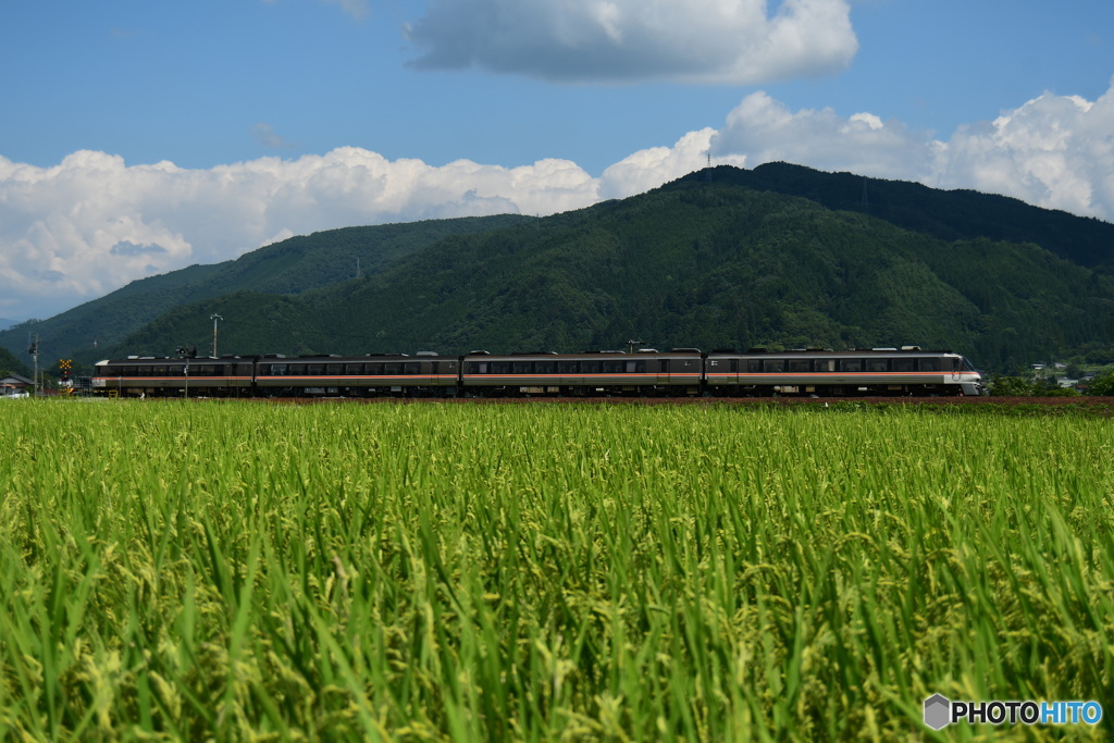 田園地帯