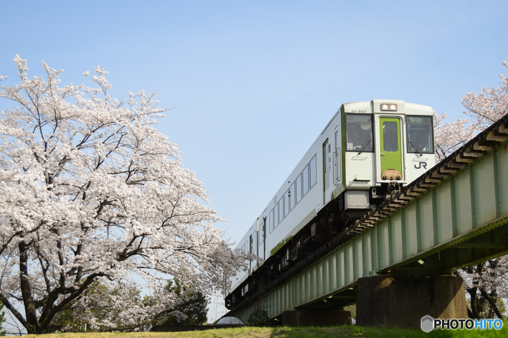 春の鉄橋