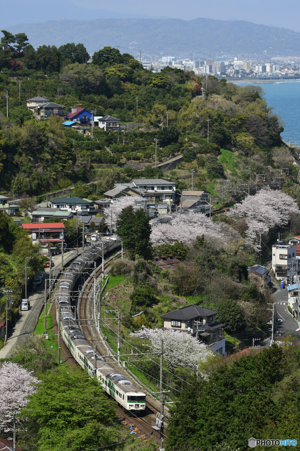 湘南の春