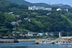 夏の稲取港