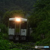 線路蔦