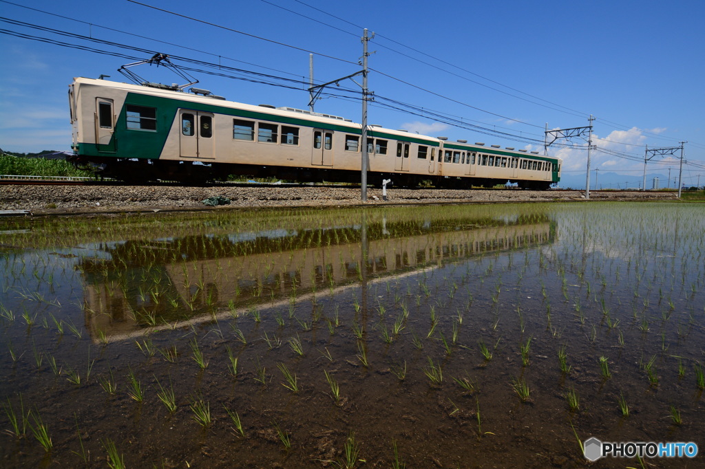 田んぼに写る