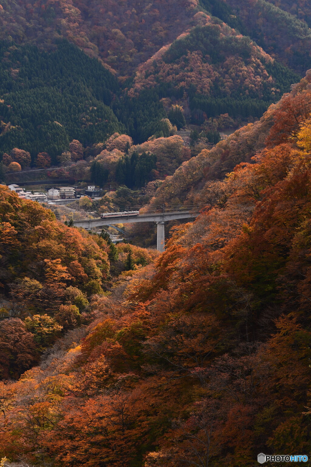 紅葉橋