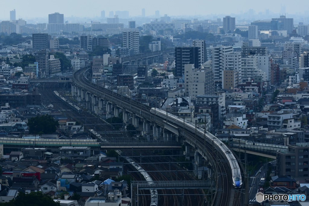 上京かがやき