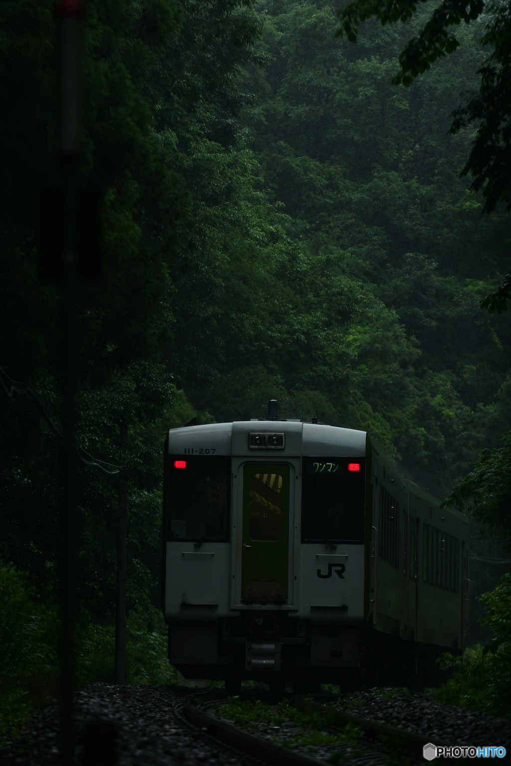 雨に打たれて