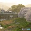 夕陽