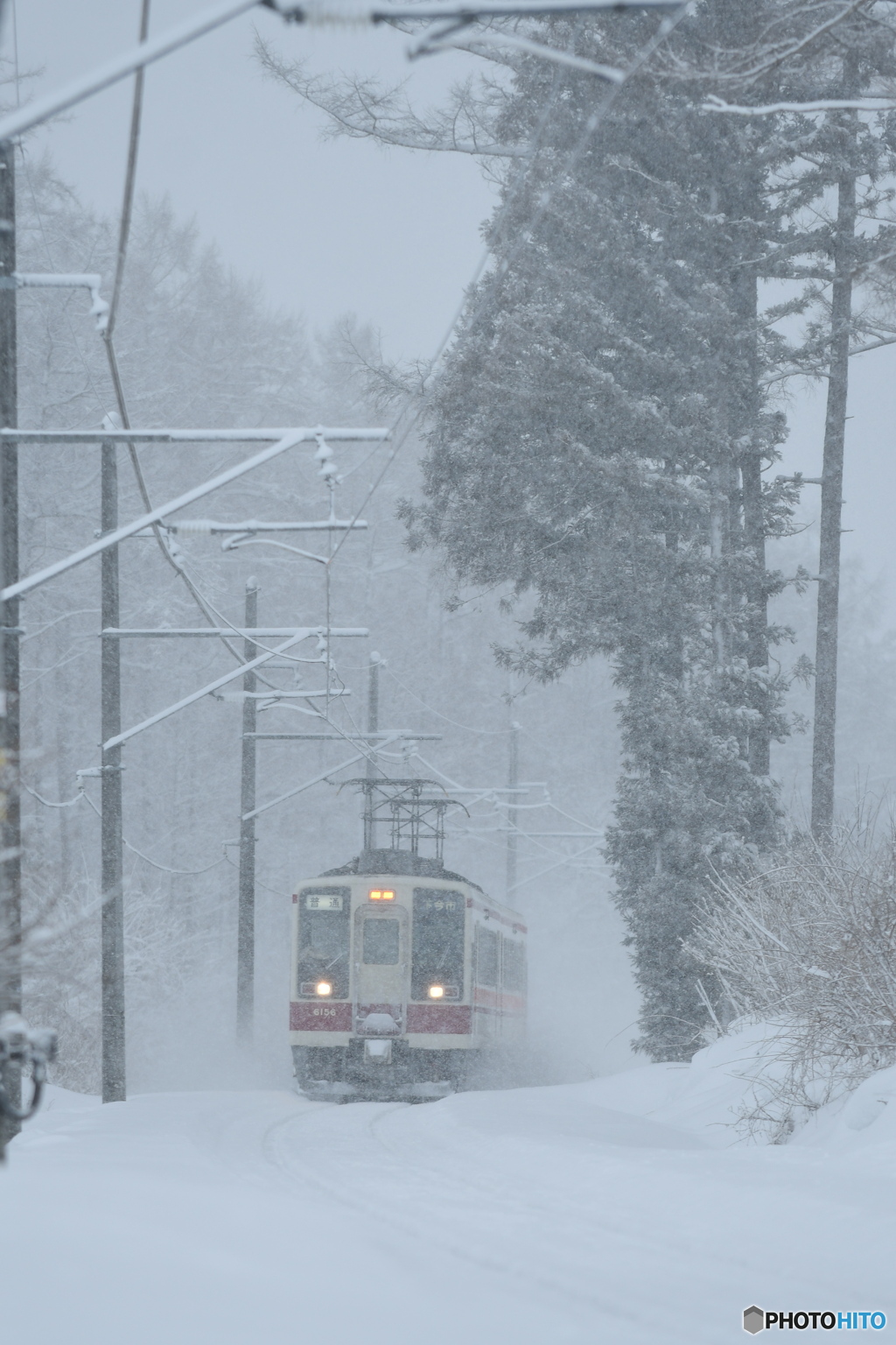 吹雪の中