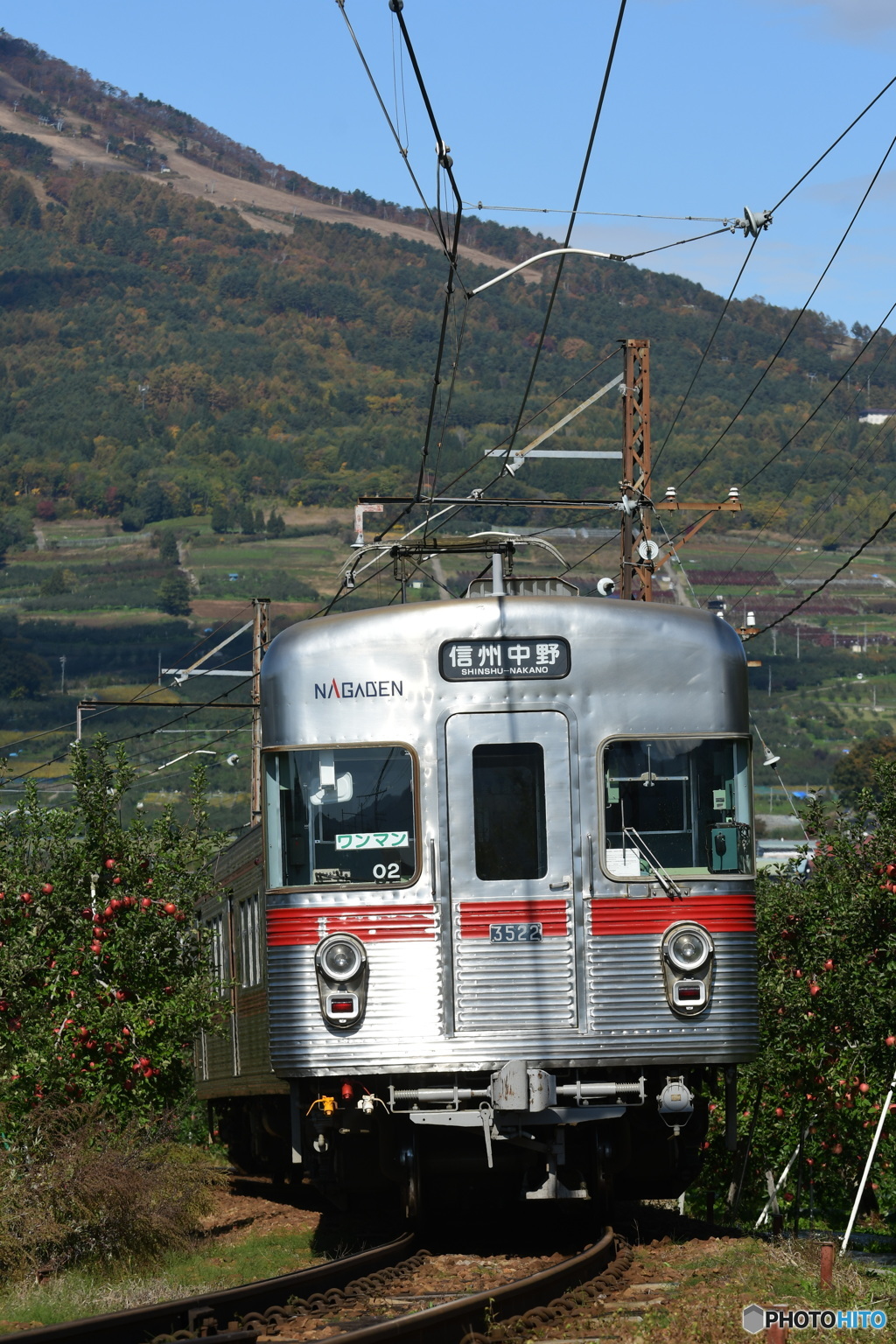 リンゴ畑