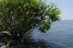 琵琶湖