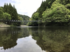 夏の一枚