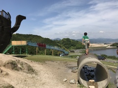 遠くに見えるのは？