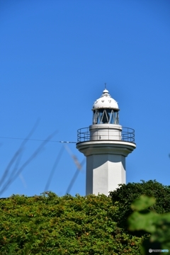 焼尻島　島内観光　№5　北の国から