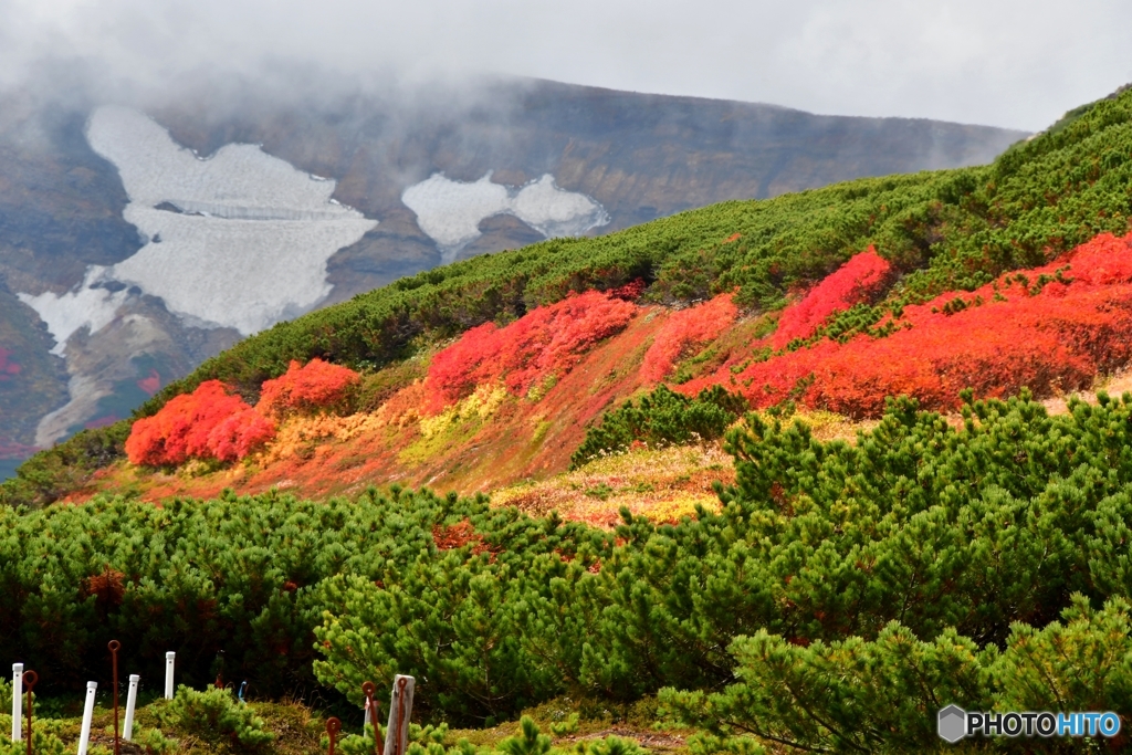 日本で最も早い紅葉　№16　北の国から